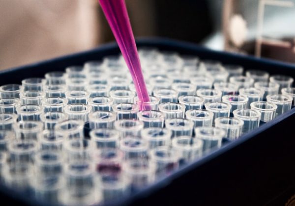 AI-Powered Genomic Data Pipeline for Precision Medicine